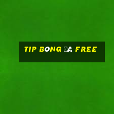 tip bóng đá free