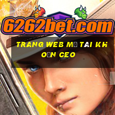 Trang web mở tài khoản ceo