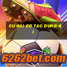 cu gai co tac dung gi