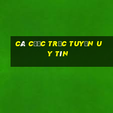 cá cược trực tuyến uy tín