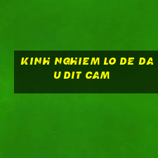 kinh nghiem lo de dau dit cam