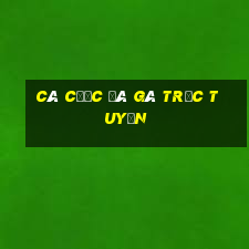 cá cược đá gà trực tuyến