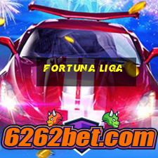 fortuna liga