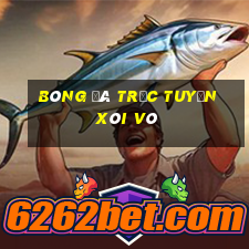 bóng đá trực tuyến xôi vò