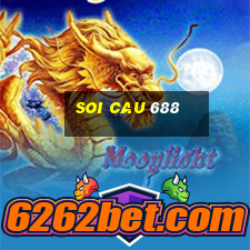 soi cau 688