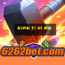 kinh tế vi mô