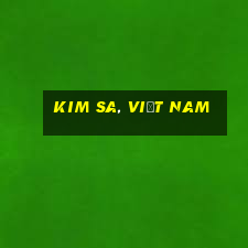 Kim Sa, Việt nam