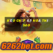 kèo chấp 0.5 hoà thì sao