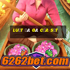 luật đá gà cựa sắt