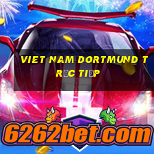 viet nam dortmund trực tiếp