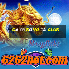 cá độ bóng đá club