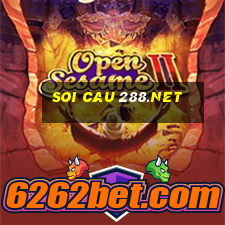 soi cau 288.net