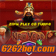 zinh play co tuong