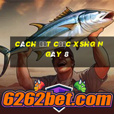 Cách đặt cược XSHG ngày 8