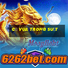 cờ vua trong suốt