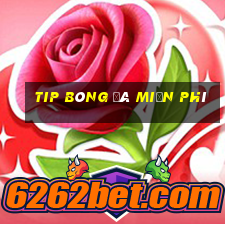 tip bóng đá miễn phí