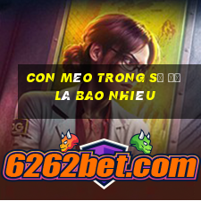 con mèo trong số đề là bao nhiêu