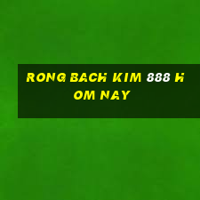 rong bach kim 888 hom nay