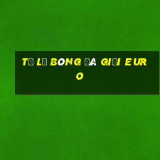 tỷ lệ bóng đá giải euro