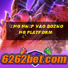 Đăng nhập vào Bozhong Platform