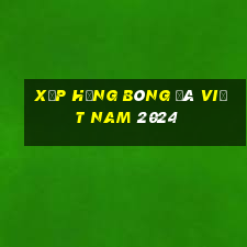 xếp hạng bóng đá việt nam 2024