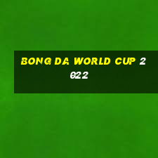 bong da world cup 2022