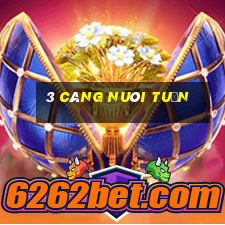 3 càng nuôi tuần