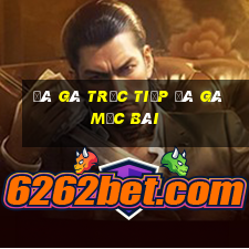 đá gà trực tiếp đá gà mộc bài