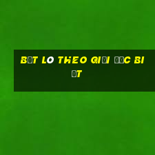 bắt lô theo giải đặc biệt