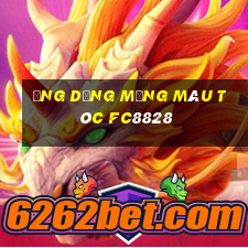 Ứng dụng mạng màu tóc fc8828