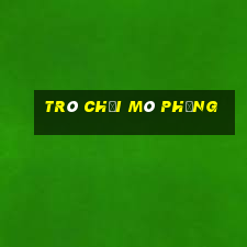 trò chơi mô phỏng