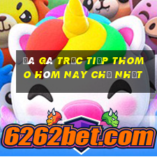 đá gà trực tiếp thomo hôm nay chủ nhật