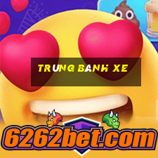 trùng bánh xe