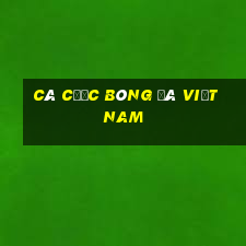 Cá cược bóng đá Việt Nam