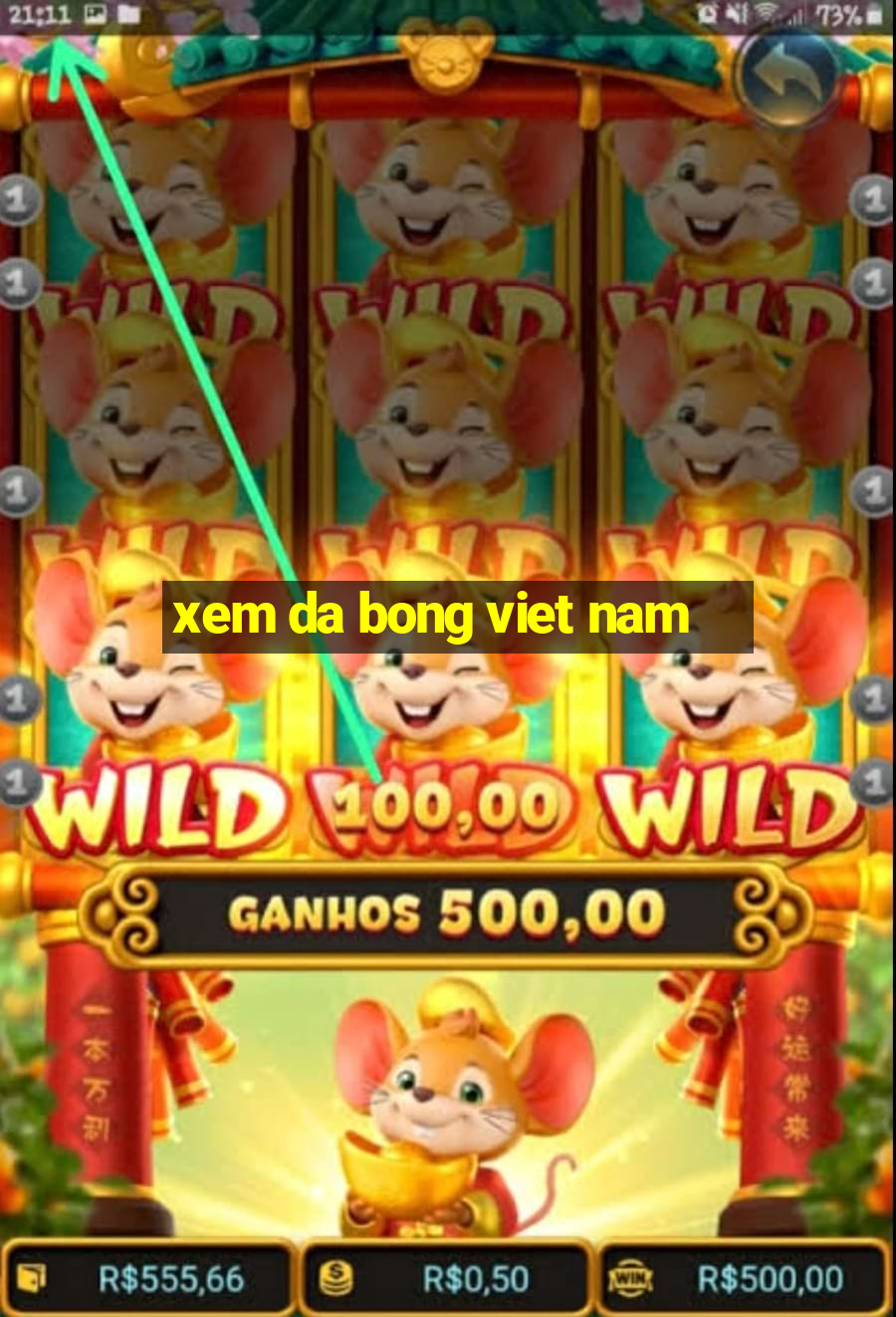 xem da bong viet nam