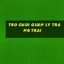 tro choi quan ly trang trai