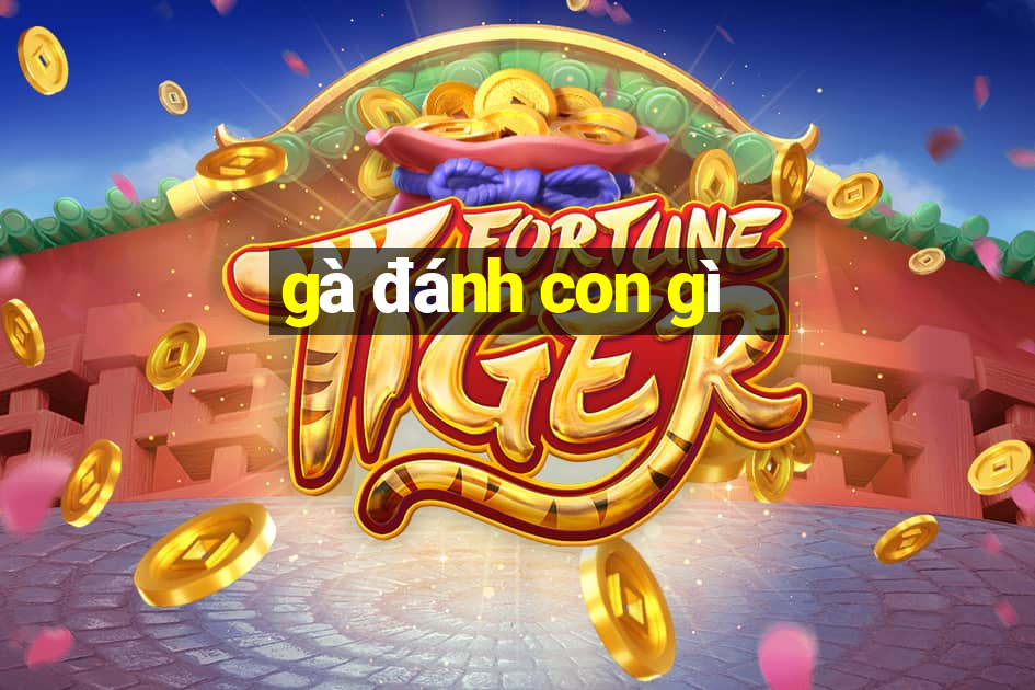 gà đánh con gì