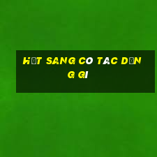 hạt sang có tác dụng gì