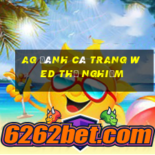 ag đánh cá trang wed thử nghiệm