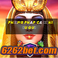 phương pháp cá độ hiệu quả