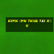 hình ảnh thua tài xỉu