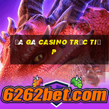 đá gà casino trực tiếp