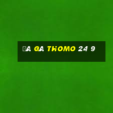 đá gà thomo 24 9