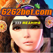 333 meaning