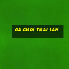 ga choi thai lan