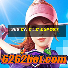 365 cá cược esport