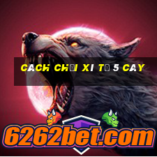 cách chơi xì tố 5 cây