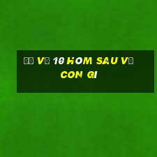 đề về 10 hôm sau về con gì