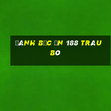 Đánh bạc ăn 188 trâuBò