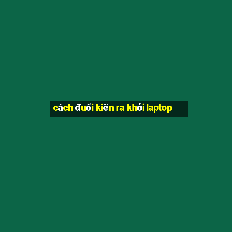 cách đuổi kiến ra khỏi laptop